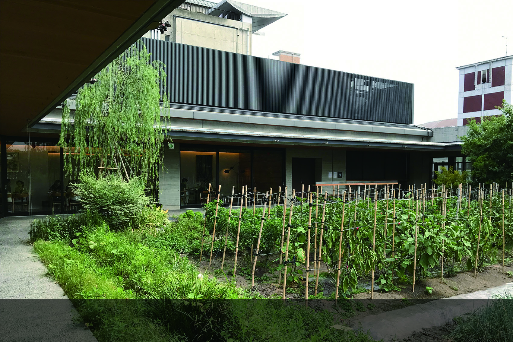 京都八百一本館